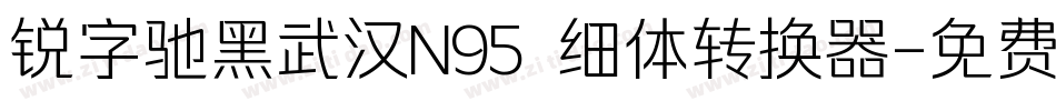 锐字驰黑武汉N95 细体转换器字体转换